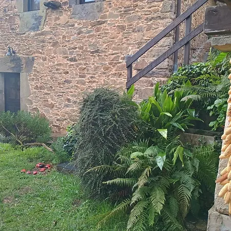 Vega Apartment